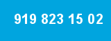 919 823 15 02